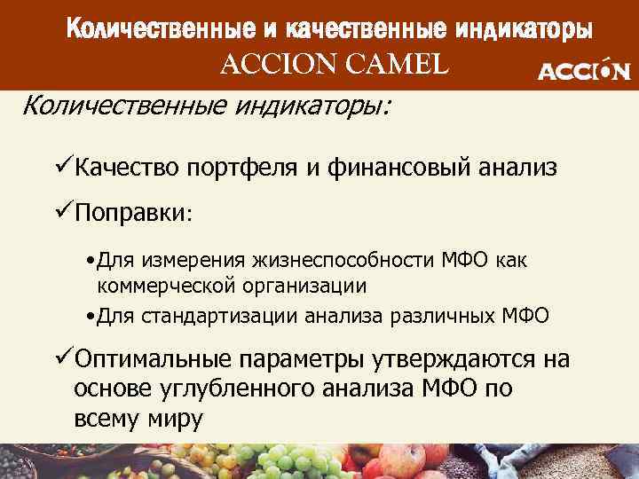 Количественные и качественные индикаторы ACCION CAMEL Количественные индикаторы: üКачество портфеля и финансовый анализ üПоправки: