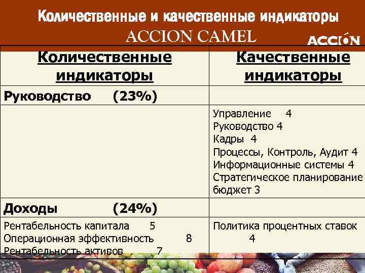 Количественные и качественные индикаторы ACCION CAMEL Количественные индикаторы Руководство Качественные индикаторы (23%) Управление 4