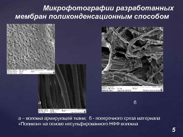 Микрофотографии разработанных мембран поликонденсационным способом а б а – волокна армирующей ткани; б -