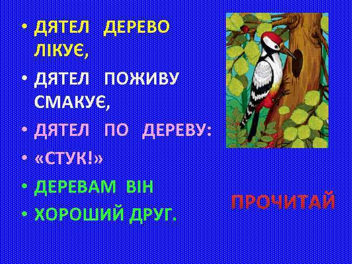  • ДЯТЕЛ ДЕРЕВО ЛІКУЄ, • ДЯТЕЛ ПОЖИВУ СМАКУЄ, • ДЯТЕЛ ПО ДЕРЕВУ: •