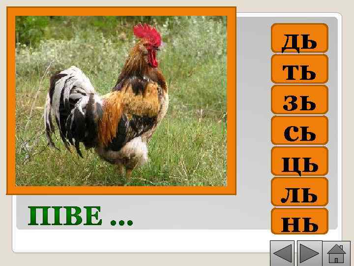 дь ть зь сь ць ль нь 