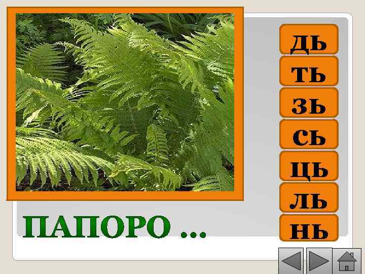 дь ть зь сь ць ль нь 