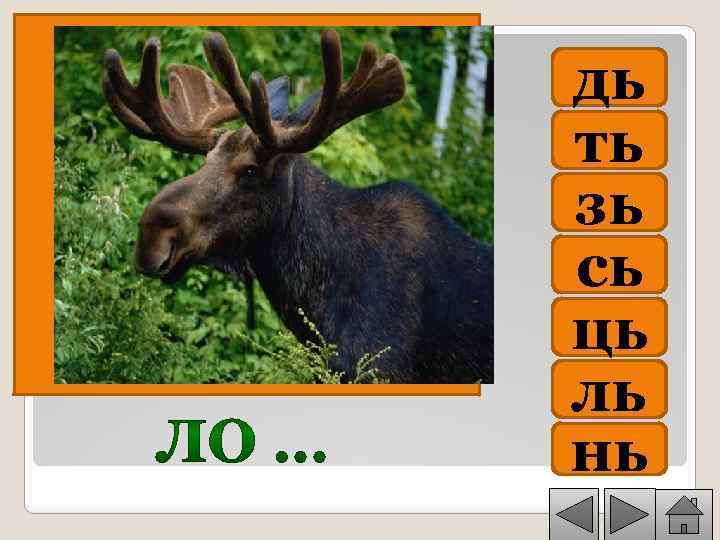 дь ть зь сь ць ль нь 