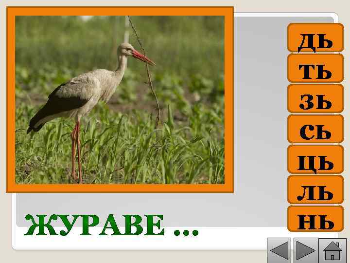 дь ть зь сь ць ль нь 