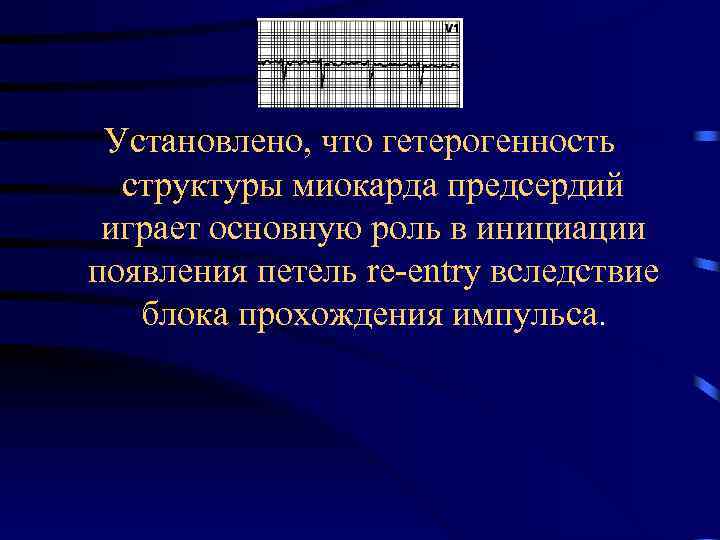 Установлено, что гетерогенность структуры миокарда предсердий играет основную роль в инициации появления петель re-entry