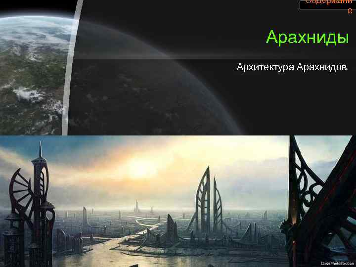 Содержани е Арахниды Архитектура Арахнидов 