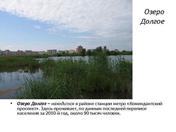 Озеро Долгое • Озеро Долгое – находится в районе станции метро «Комендантский проспект» .