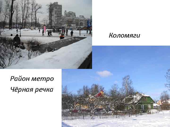  • Коломяги Район метро Чёрная речка 