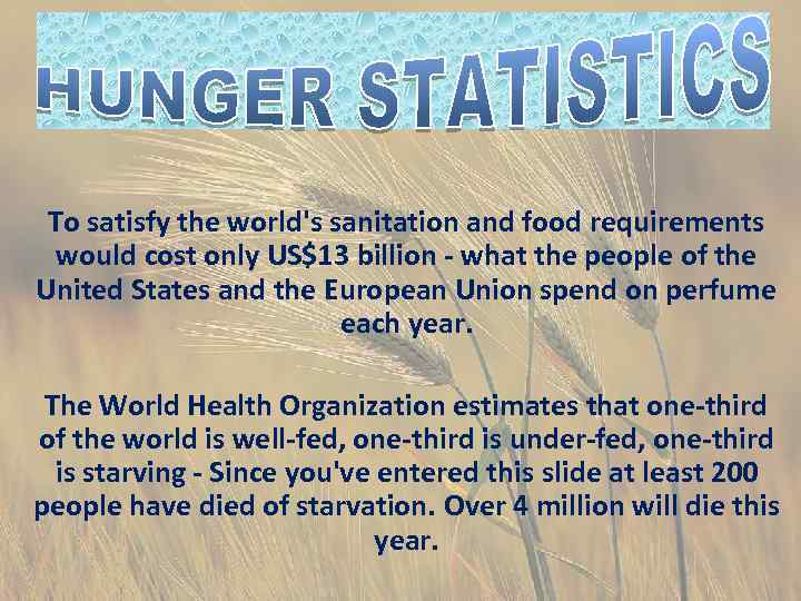 To satisfy the world's sanitation and food requirements would cost only US$13 billion -