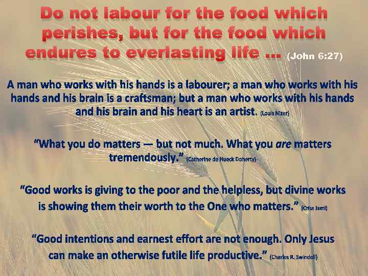 Do not labour for the food which perishes, but for the food which endures