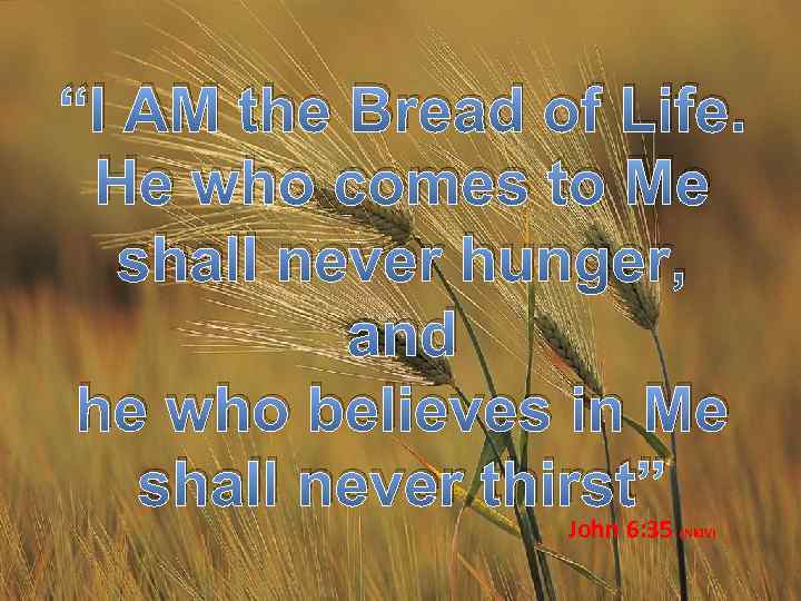 “I AM the Bread of Life. He who comes to Me shall never hunger,