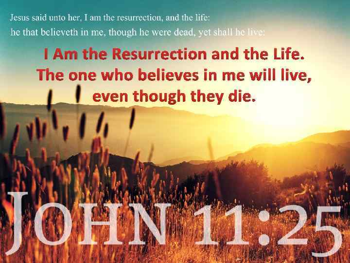 I Am the Resurrection and the Life. The one who believes in me will