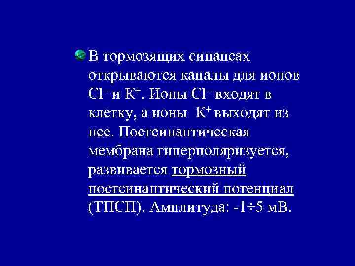 В тормозящих синапсах открываются каналы для ионов Cl– и К+. Ионы Cl– входят в