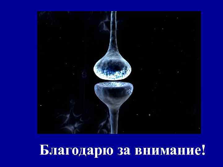 Благодарю за внимание! 