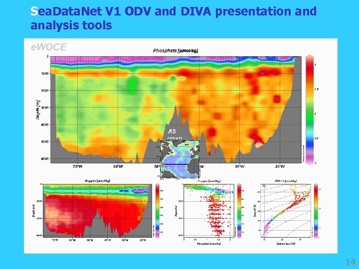 Sea. Data. Net V 1 ODV and DIVA presentation and analysis tools 14 