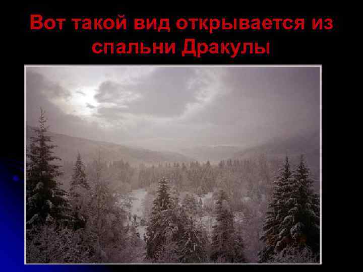 Вот такой вид открывается из спальни Дракулы 