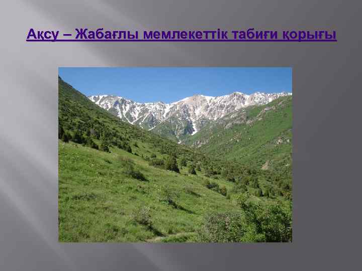 Ақсу – Жабағлы мемлекеттік табиғи қорығы 