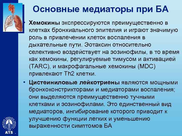 Основные медиаторы при БА • Хемокины экспрессируются преимущественно в клетках бронхиального эпителия и играют