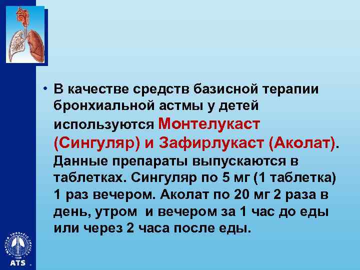  • В качестве средств базисной терапии бронхиальной астмы у детей используются Монтелукаст (Сингуляр)