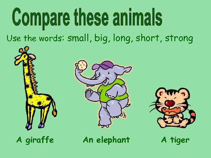 Use the words: small, big, long, short, strong A giraffe An elephant A tiger