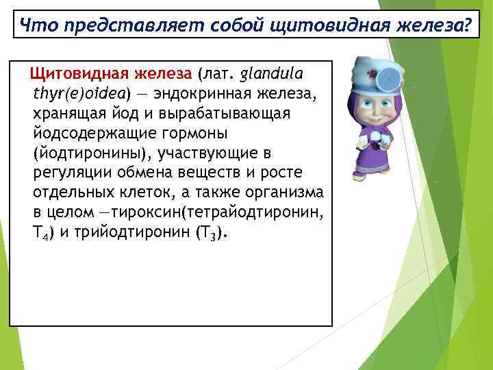 Что представляет собой щитовидная железа? Щитовидная железа (лат. glandula thyr(e)oidea) — эндокринная железа, хранящая