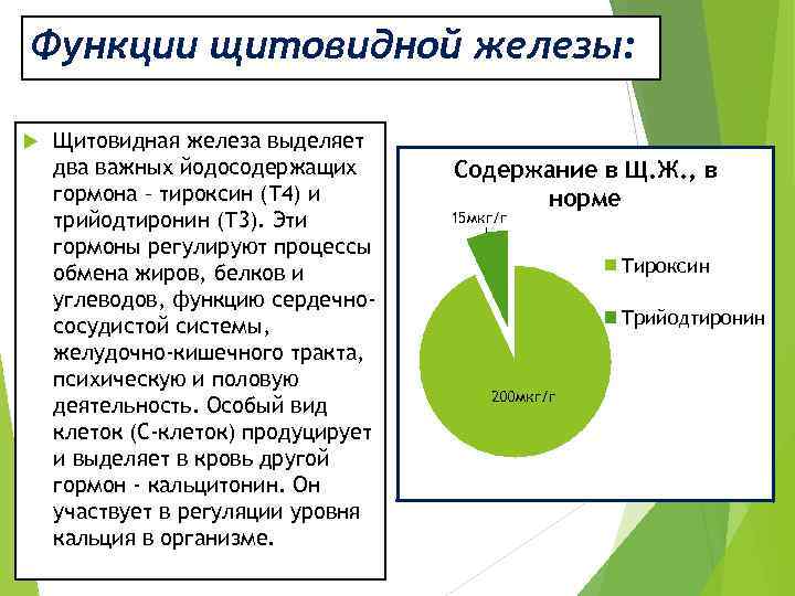 Функции щитовидной железы: Щитовидная железа выделяет два важных йодосодержащих гормона – тироксин (Т 4)