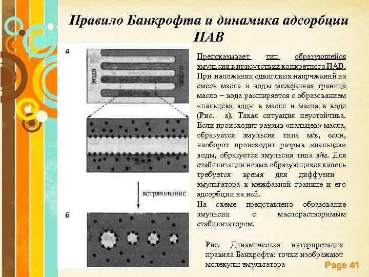 Правило Банкрофта и динамика адсорбции ПАВ Предсказывает тип образующейся эмульсии в присутствии конкретного ПАВ.