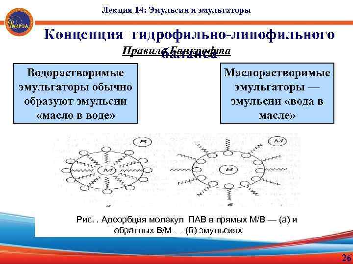 Лекция 14: Эмульсии и эмульгаторы Концепция гидрофильно-липофильного Правило Банкрофта баланса Водорастворимые эмульгаторы обычно образуют