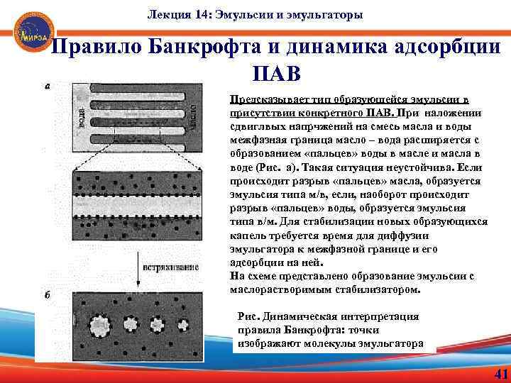 Лекция 14: Эмульсии и эмульгаторы Правило Банкрофта и динамика адсорбции ПАВ Предсказывает тип образующейся