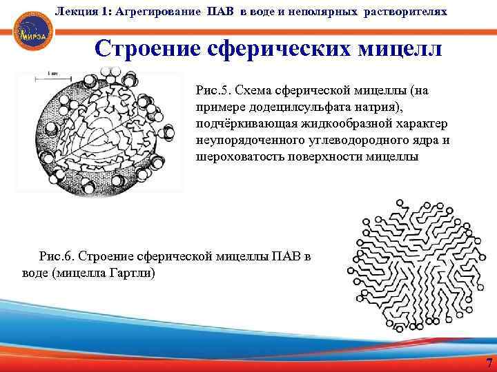 Лекция 1: Агрегирование ПАВ в воде и неполярных растворителях Строение сферических мицелл Рис. 5.