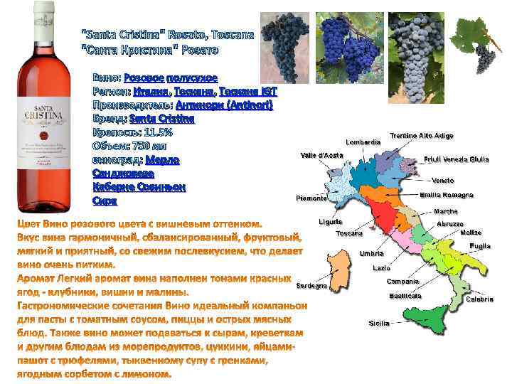 "Santa Cristina" Rosato, Toscana "Санта Кристина" Розато Вино: Розовое полусухое Регион: Италия, Тоскана IGT