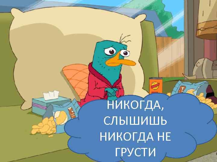 НИКОГДА, СЛЫШИШЬ НИКОГДА НЕ ГРУСТИ 