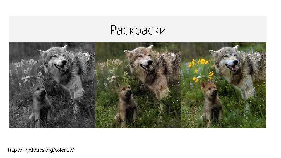 Раскраски http: //tinyclouds. org/colorize/ 