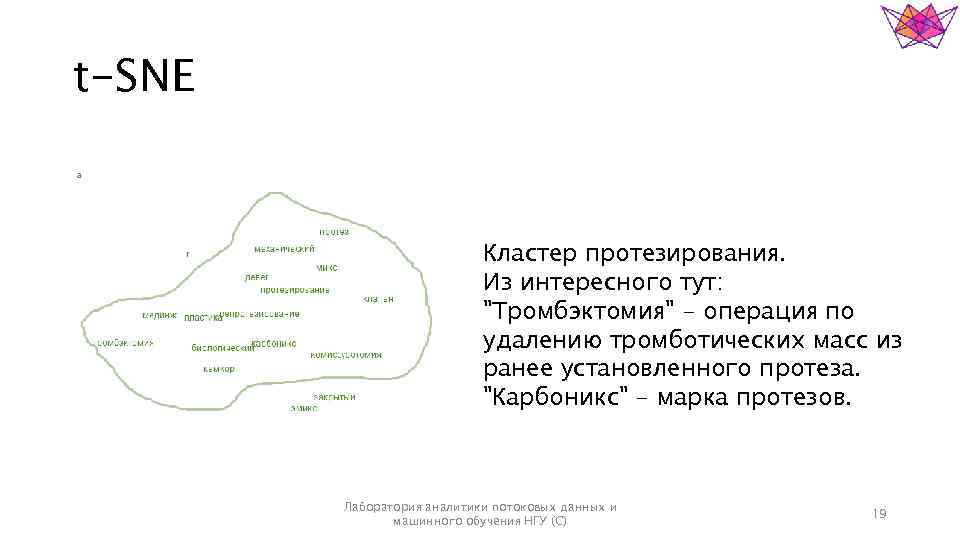 t-SNE Кластер протезирования. Из интересного тут: "Тромбэктомия" - операция по удалению тромботических масс из