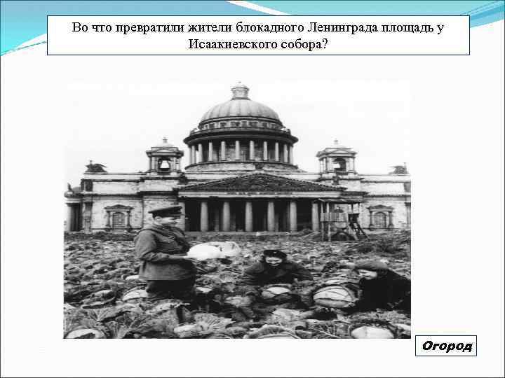 Во что превратили жители блокадного Ленинграда площадь у Исаакиевского собора? Огород 