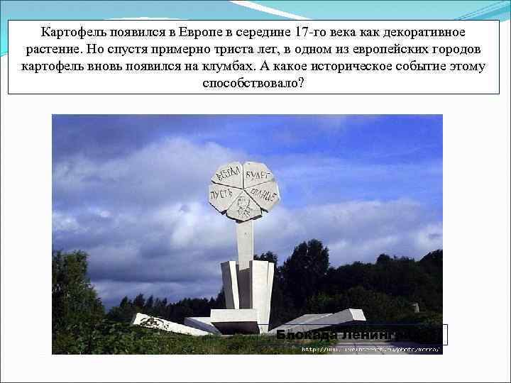 Картофель появился в Европе в середине 17 -го века как декоративное растение. Но спустя