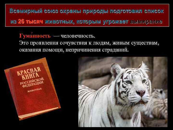 Гума нность — человечность. Это проявления сочувствия к людям, живым существам, оказания помощи, непричинения