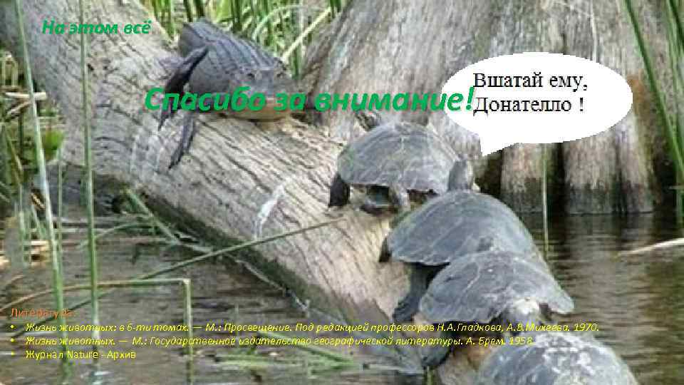 На этом всё Спасибо за внимание! Литература: • • • Жизнь животных: в 6