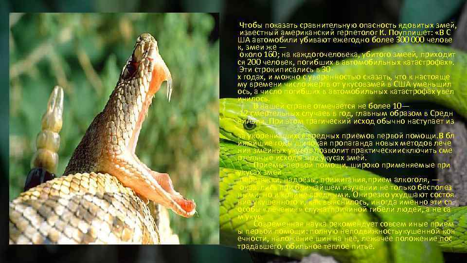  Чтобы показать сравнительную опасность ядовитых змей, известный американский герпетолог К. Поуппишет: «В С
