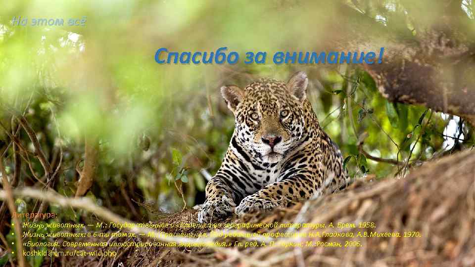 На этом всё Спасибо за внимание! Литература: • • Жизнь животных. — М. :