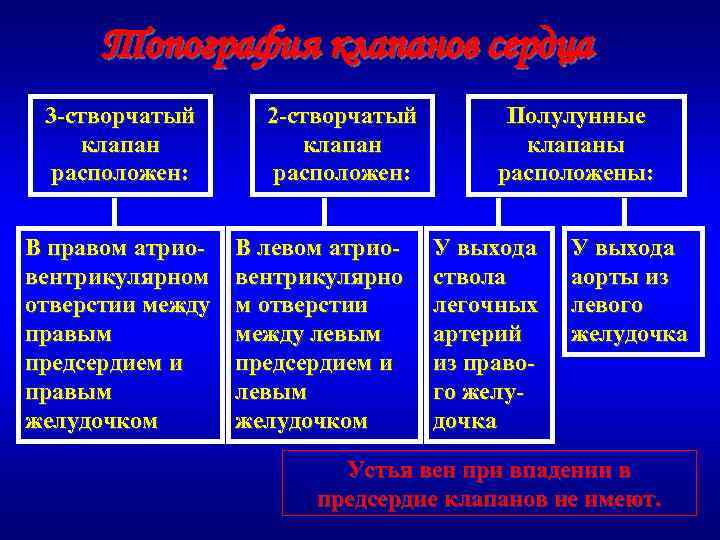 Топография клапанов сердца 3 -створчатый клапан расположен: В правом атриовентрикулярном отверстии между правым предсердием