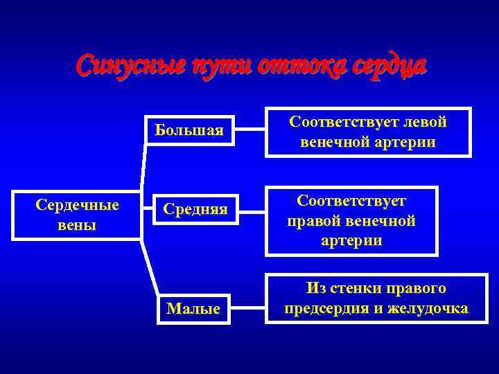 Синусные пути оттока сердца Большая Сердечные вены Средняя Малые Соответствует левой венечной артерии Соответствует