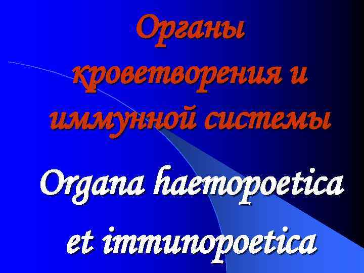 Органы кроветворения и иммунной системы Organa haemopoetica et immunopoetica 