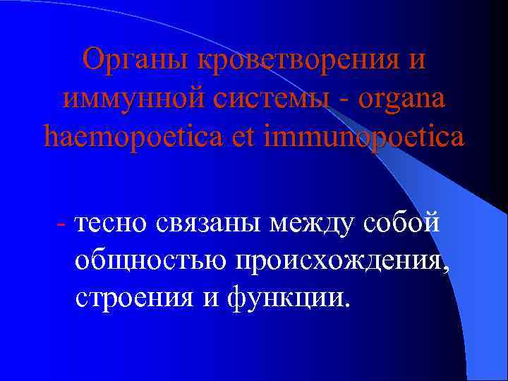 Органы кроветворения и иммунной системы - organa haemopoetica et immunopoetica - тесно связаны между