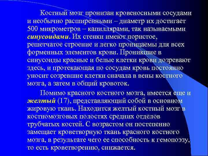 Костный мозг пронизан кровеносными сосудами и необычно расширенными – диаметр их достигает 500 микрометров