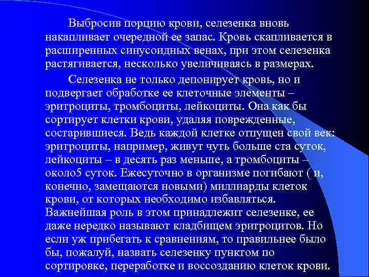 Выбросив порцию крови, селезенка вновь накапливает очередной ее запас. Кровь скапливается в расширенных синусоидных