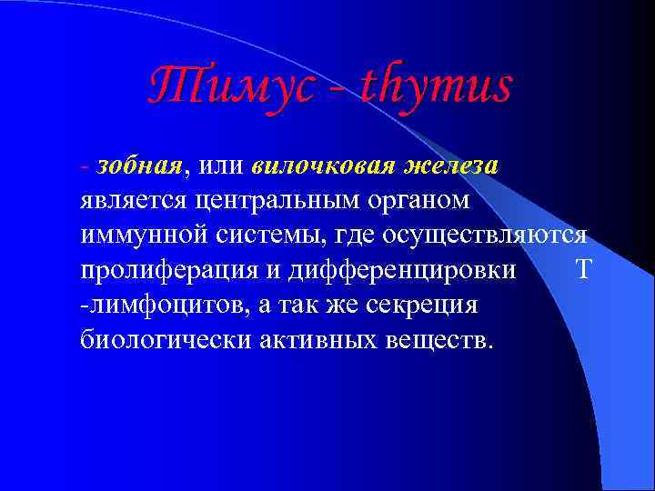 Тимус - thymus - зобная, или вилочковая железа является центральным органом иммунной системы, где