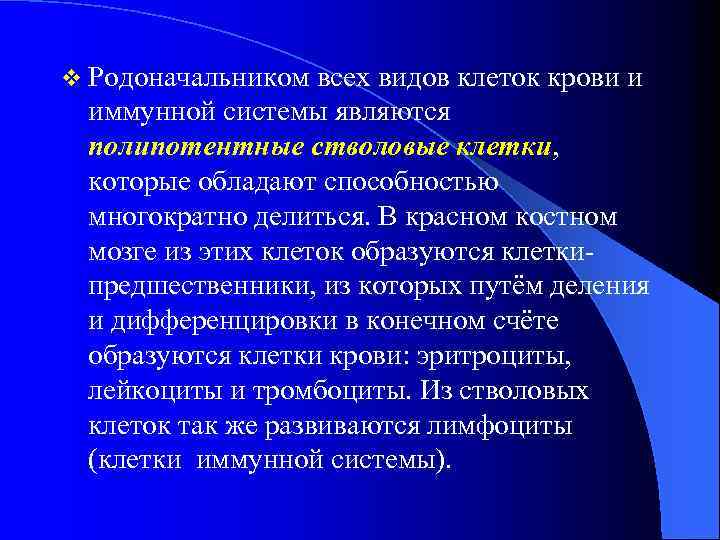 v Родоначальником всех видов клеток крови и иммунной системы являются полипотентные стволовые клетки, которые