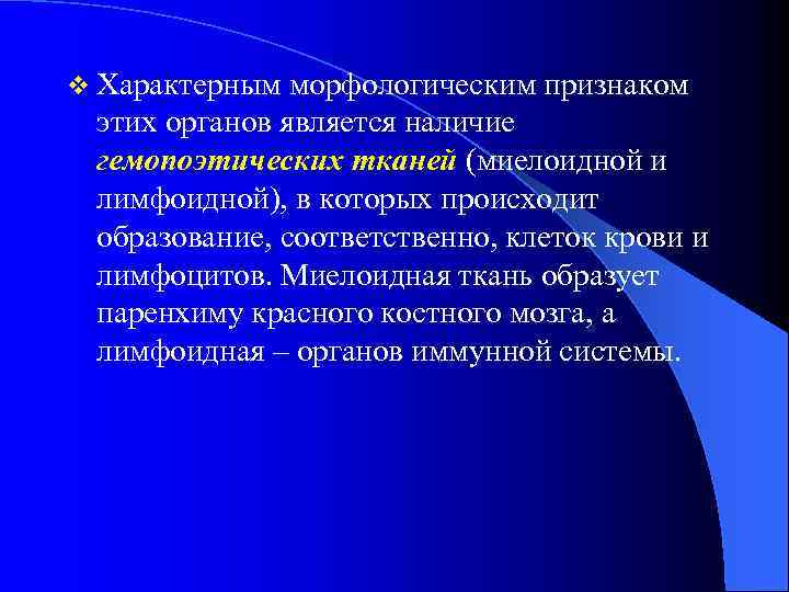 v Характерным морфологическим признаком этих органов является наличие гемопоэтических тканей (миелоидной и лимфоидной), в