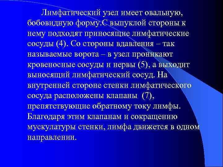 Лимфатический узел имеет овальную, бобовидную форму. С выпуклой стороны к нему подходят приносящие лимфатические